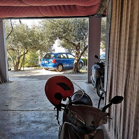 Apartmani Ivica Krzanic Podgora Luaran gambar